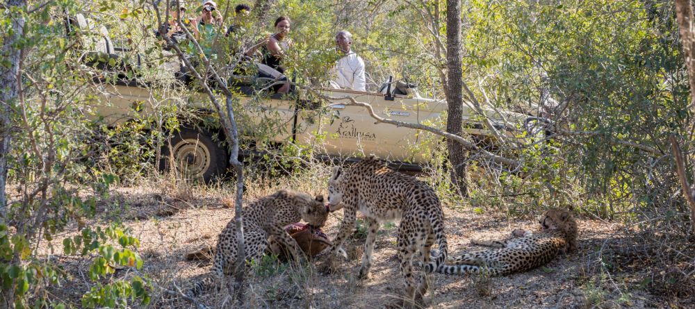 Arathusa Safari Lodge, Sabi Sands Game Reserve, South Africa - Image 6