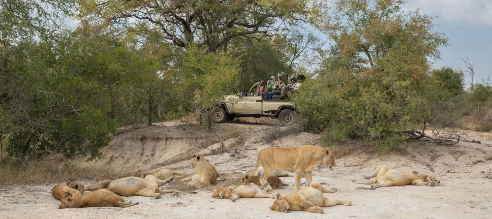 Arathusa Safari Lodge, Sabi Sands Game Reserve, South Africa - Image 3