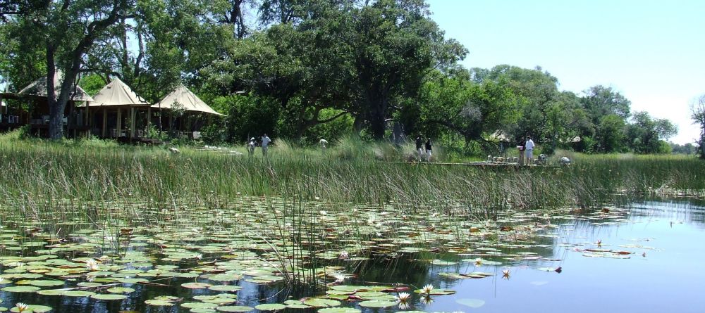 Delta view at Xaranna Camp, Okavango Delta, Botswana - Image 9