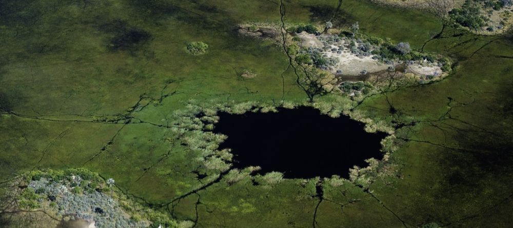 Aerial shot of the delta at Xigera Camp, Moremi Game Reserve, Botswana (Dana Allen) - Image 9