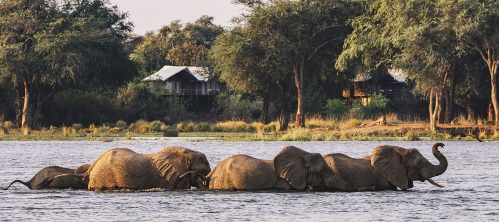 Anabezi Camp - Image 15