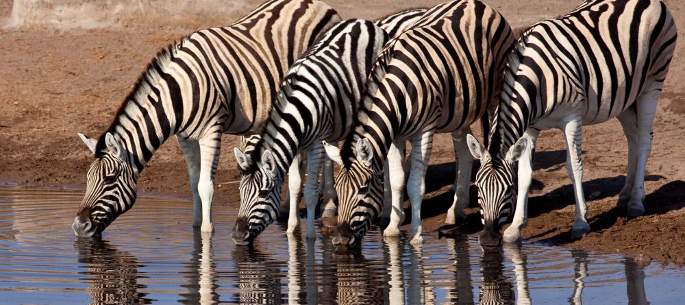 Mokuti Etosha Lodge, Etosha National Park, Namibia - Image 9