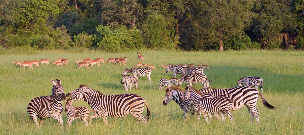 Sabi sabi - Image 6