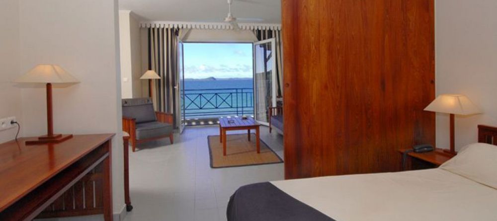 Allamanda - Image 7
