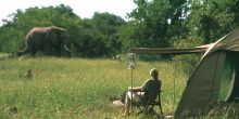 Delta Explorer Campsite, Okavango Delta, Botswana