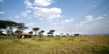 Lemala Kuria, Serengeti National Park, Tanzania