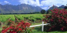 La Fontaine, Franschhoek, South Africa