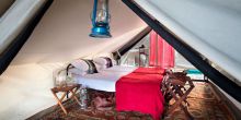 Tanda Tula Field Camp, Timbavati Game Reserve, South Africa