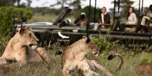Delta Explorer Campsite, Okavango Delta, Botswana