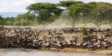 Legendary Safari Camp, Serengeti National Park, Tanzania