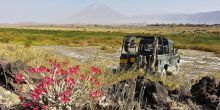 Ngare Sero Lake Natron Camp, Lake Natron, Tanzania