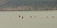 Ngare Sero Lake Natron Camp, Lake Natron, Tanzania
