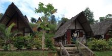 Feon Ny Ala, Andasibe National Park, Madagascar