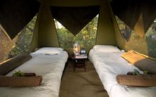 Camp Tents
