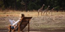 Get spectacular views of the passing wildlife at Chinzombo, South Luangwa National Park, Zambia