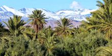 L'Ma Lodge, Ouarzazate, Morocco