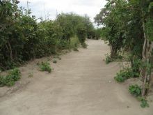 The beautiful pathways at Tarangire Osupuko Lodge, Tarangire National Park, Tanzania (Mango staff photo)