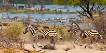 Meno A Kwena, Kalahari, Botswana
