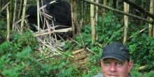 Chilling with a Silverback in Virunga NP, Rwanda