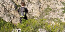 The Harkerville Hiking Trail, Garden Route, South Africa