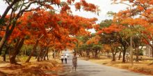 The city of Lusaka - Taj Pamodzi Hotel, Lusaka, Zambia