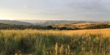 Cradle of Mankind Private Half-Day Tour, Johannesburg, South Africa