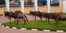Arusha Cultural Heritage Center, Arusha, Tanzania