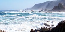 The Harkerville Hiking Trail, Garden Route, South Africa