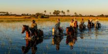Macatoo Horseback Safari, Okavango Delta, Botswana