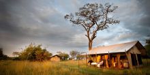 Legendary Safari Camp, Serengeti National Park, Tanzania