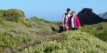 The Harkerville Hiking Trail, Garden Route, South Africa