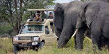 Legendary Safari Camp, Serengeti National Park, Tanzania