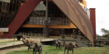 Arusha Cultural Heritage Center, Arusha, Tanzania