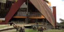 The Cultural Heritage Center in the city near to Legendary Lodge, Arusha, Tanzania
