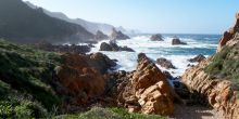 The Harkerville Hiking Trail, Garden Route, South Africa