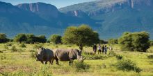 Marataba Safari Lodge, Marataba Game Reserve, South Africa