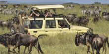 Olaado Camp, Serengeti National Park, Tanzania