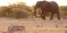 Delta Explorer Campsite, Okavango Delta, Botswana