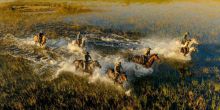 Macatoo Horseback Safari, Okavango Delta, Botswana