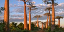 Camp Amoureux, Morondava, Madagascar