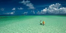Alphonse Island Fly Fishing