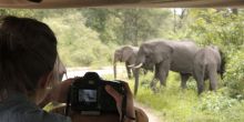 Lake Manyara Tree Lodge, Lake Manyara National Park, Tanzania