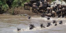 River Crossing