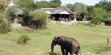 Amakhala Safari Lodge 