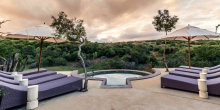 Amakhala Safari Lodge 