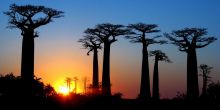 Gite de Kirindy, Kirindy National Park, Madagascar