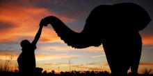 Baines Camp, Moremi Game Reserve, Botswana
