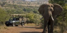 Bakubung Bush Lodge