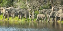 Thula Thula Safari Lodge, Thula Thula Game Reserve, South Africa
