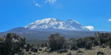Lemosho Route, Kilimanjaro, Tanzania